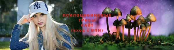 PSILOCYBIN Белоозёрский